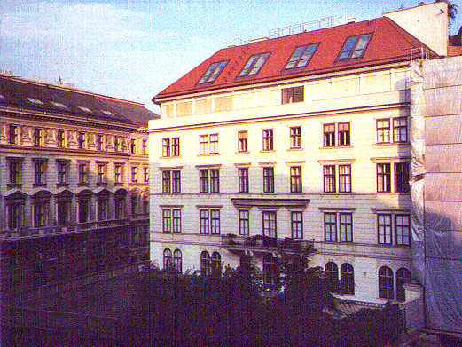 View from the room