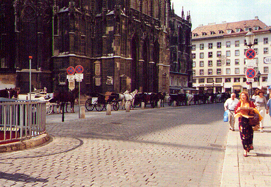 Taxi horses